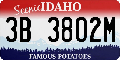 ID license plate 3B3802M