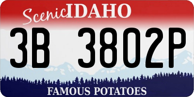 ID license plate 3B3802P