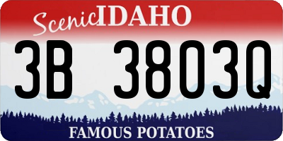 ID license plate 3B3803Q