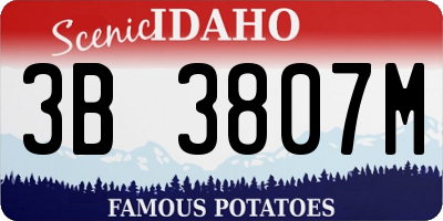 ID license plate 3B3807M