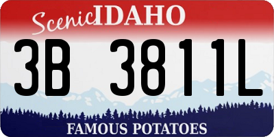 ID license plate 3B3811L