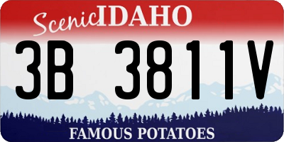 ID license plate 3B3811V