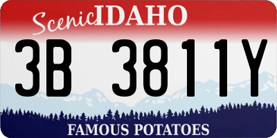 ID license plate 3B3811Y