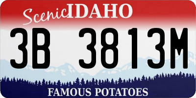 ID license plate 3B3813M