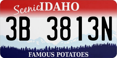 ID license plate 3B3813N