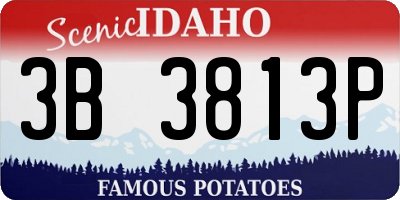 ID license plate 3B3813P