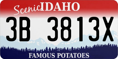 ID license plate 3B3813X
