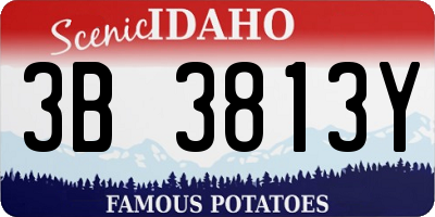ID license plate 3B3813Y