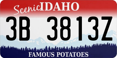 ID license plate 3B3813Z