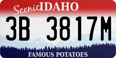 ID license plate 3B3817M
