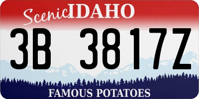 ID license plate 3B3817Z