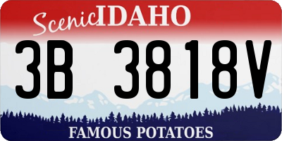 ID license plate 3B3818V