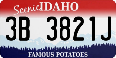 ID license plate 3B3821J