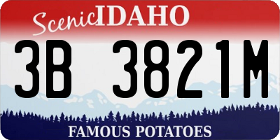 ID license plate 3B3821M