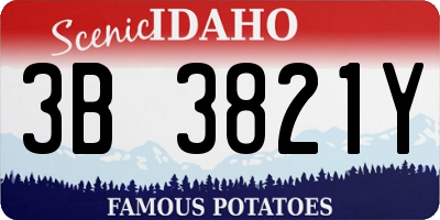 ID license plate 3B3821Y