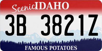 ID license plate 3B3821Z