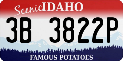 ID license plate 3B3822P