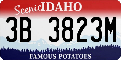 ID license plate 3B3823M