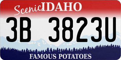 ID license plate 3B3823U