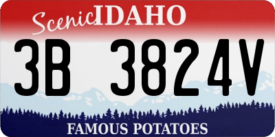 ID license plate 3B3824V