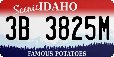 ID license plate 3B3825M