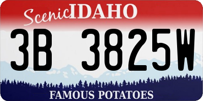 ID license plate 3B3825W