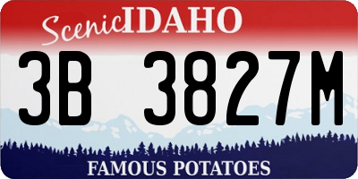 ID license plate 3B3827M