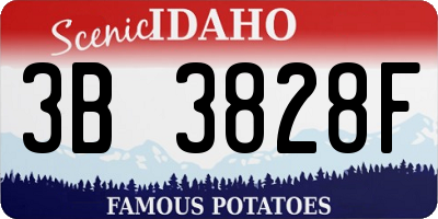 ID license plate 3B3828F