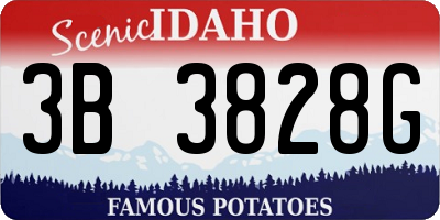 ID license plate 3B3828G