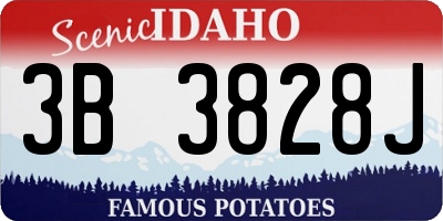 ID license plate 3B3828J