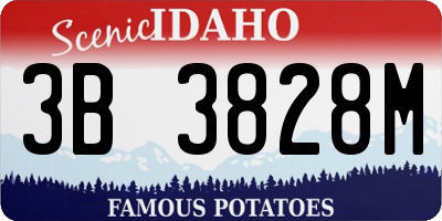 ID license plate 3B3828M