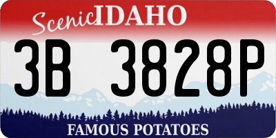ID license plate 3B3828P