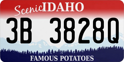 ID license plate 3B3828Q