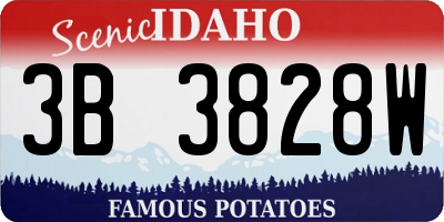 ID license plate 3B3828W