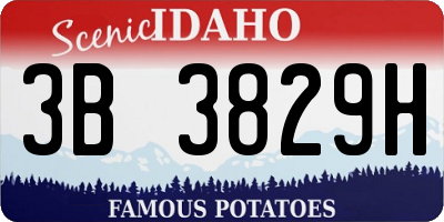 ID license plate 3B3829H