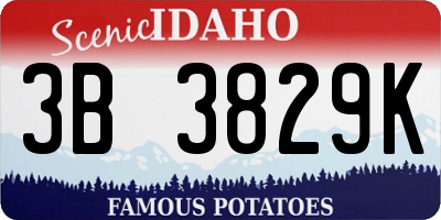 ID license plate 3B3829K
