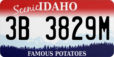 ID license plate 3B3829M