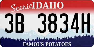 ID license plate 3B3834H
