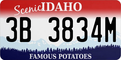 ID license plate 3B3834M