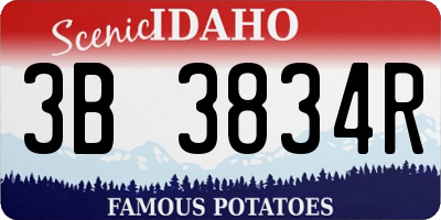 ID license plate 3B3834R