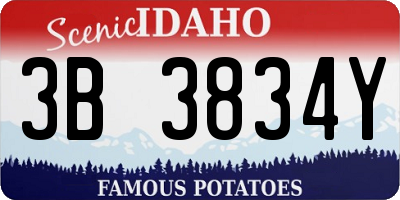 ID license plate 3B3834Y