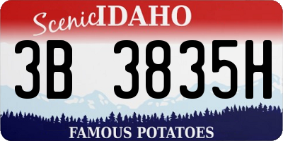 ID license plate 3B3835H