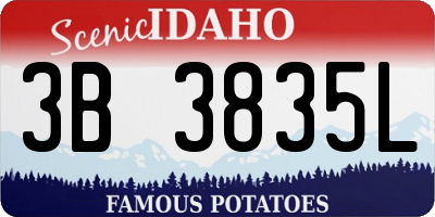 ID license plate 3B3835L