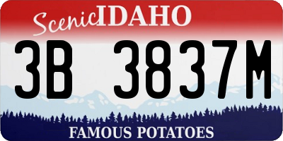 ID license plate 3B3837M