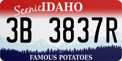 ID license plate 3B3837R