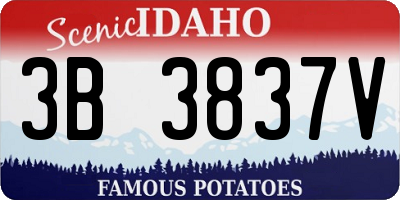 ID license plate 3B3837V