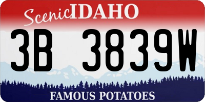 ID license plate 3B3839W