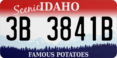 ID license plate 3B3841B