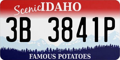 ID license plate 3B3841P