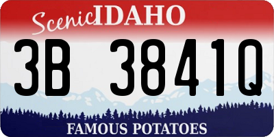 ID license plate 3B3841Q